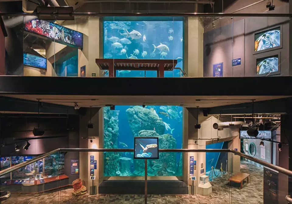 Charleston aquarium interior