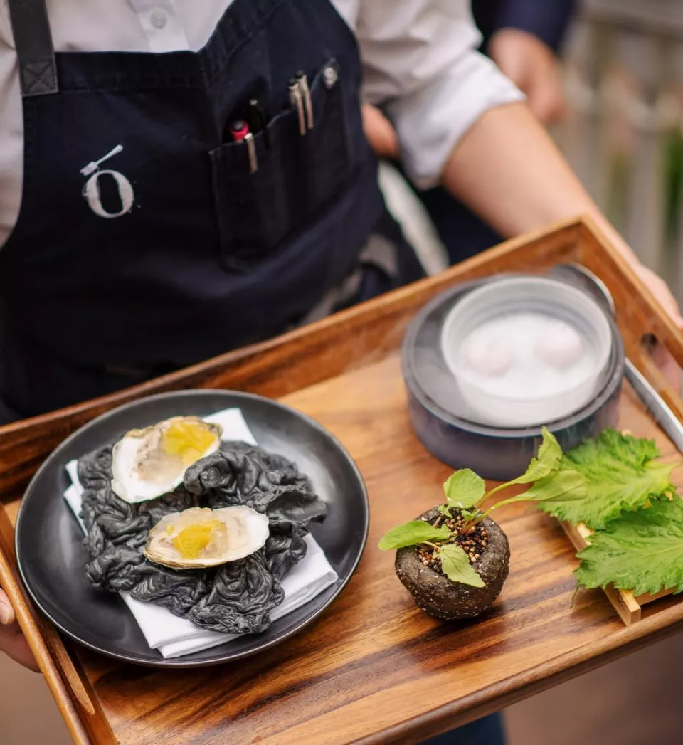 Close up of a tray being carried by a server. Tray has oysters on it.